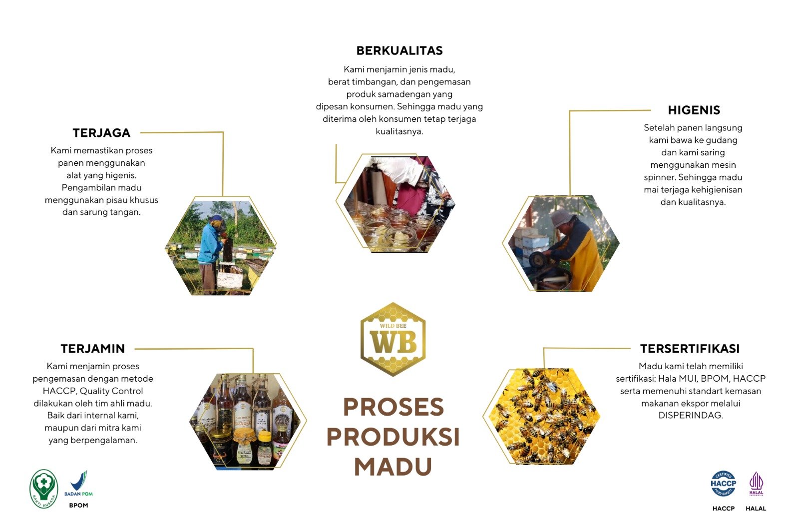 proses-produksi-madu-wild-bee